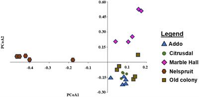 Geographic variation in genetic composition, sexual communication and mating compatibility of the False Codling Moth, Thaumatotibia leucotreta for optimisation of area-wide control